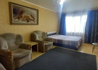 Сдача в аренду 1-комнатной квартиры, 35 м2, Пензенская область, улица Кижеватова, 33