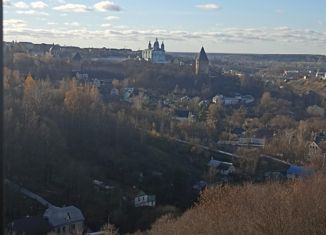 Продажа 2-комнатной квартиры, 65.1 м2, деревня Новосельцы, Юбилейная улица, 13