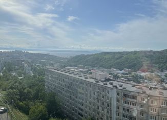 Продам однокомнатную квартиру, 16.8 м2, Владивосток, Сельская улица, 6, Первореченский район