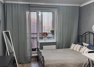 Продам квартиру студию, 26 м2, Санкт-Петербург, Среднерогатская улица, 20, метро Звёздная