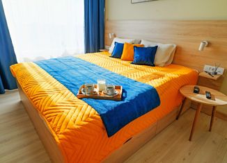 Продажа квартиры студии, 32.7 м2, Санкт-Петербург, улица Матроса Железняка, 2с1, метро Чёрная речка