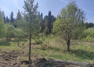Продается земельный участок, 11 сот., деревня Вороново, Центральная улица