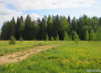 Продаю участок, 10 сот., деревня Поварня