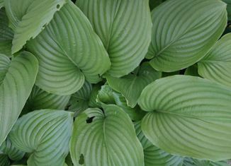 Продажа земельного участка, 4 сот., станица Марьянская, улица Чарльза Дарвина