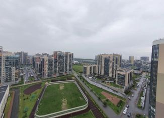 Аренда квартиры студии, 24 м2, Санкт-Петербург, улица Катерников, 7, улица Катерников