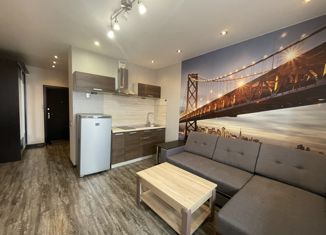 Квартира на продажу студия, 23.8 м2, Новосибирск, улица Романова, 60, улица Романова