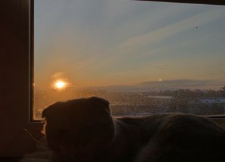 Сдаю комнату, 100 м2, Самарская область, улица Победы, 17