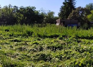 Продается земельный участок, 26 сот., деревня Большое Петровское, деревня Большое Петровское, 29