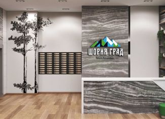 Продаю квартиру студию, 20.1 м2, поселок городского типа Шерегеш, улица Дзержинского