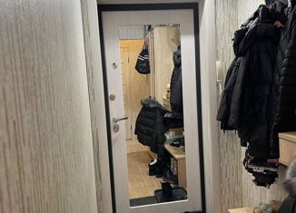 Однокомнатная квартира на продажу, 31.1 м2, село Фролы, Весенняя улица, 32