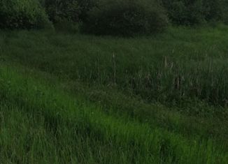 Продажа земельного участка, 150 сот., деревня Муравьево