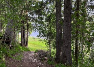 Продам земельный участок, 25 сот., деревня Пятково, 11К-867