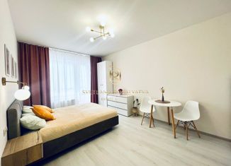 Продажа квартиры студии, 24.5 м2, Санкт-Петербург, Меридианная улица, 8, метро Звёздная