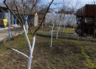 Продается дом, 30 м2, ДНТ Химик, Спортивная улица