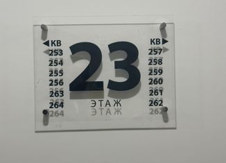 Продажа 1-ком. квартиры, 25 м2, деревня Анкудиновка, Черкесская улица, 1