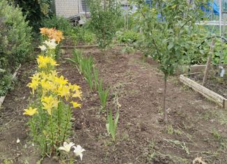 Продаю дом, 25 м2, СНТ Восход-2000, 3-я Восходная улица