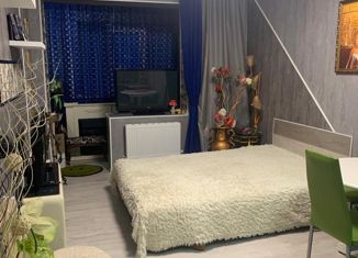 Продается квартира студия, 21 м2, Краснодар, Измаильская улица, 74к1, ЖК Британия