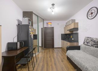 Продам квартиру студию, 24.7 м2, Мурино, улица Шувалова, 27/7, ЖК Гринландия-2