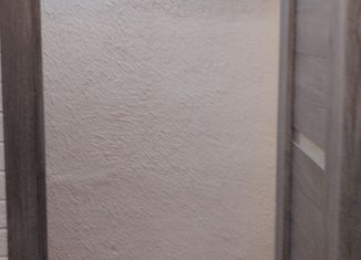 Продажа однокомнатной квартиры, 29.5 м2, Горняк, улица Ленина, 27