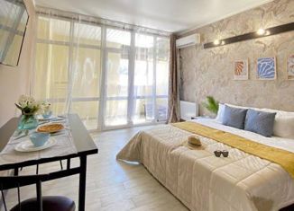 Сдаю в аренду квартиру студию, 44 м2, Сочи, улица Разина, 17