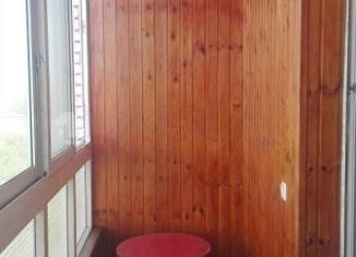 Сдам в аренду квартиру студию, 27 м2, Санкт-Петербург, улица Ленсовета, 43к3, улица Ленсовета