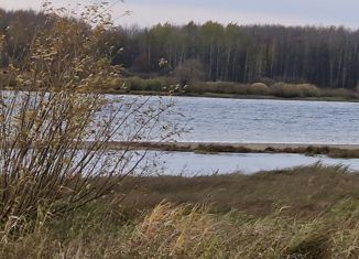 Продам участок, 15 сот., деревня Старый Шимск