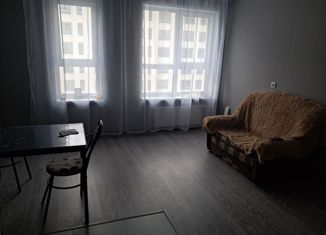 Сдается однокомнатная квартира, 47 м2, Екатеринбург, улица Гастелло, 25, ЖК Шишимская Горка