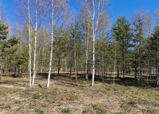 Продаю земельный участок, 13.3 сот., поселок Илеть