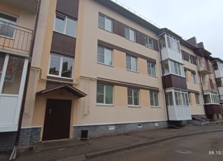 Продажа однокомнатной квартиры, 33 м2, деревня Берёзовка, Арзамасская улица, 27