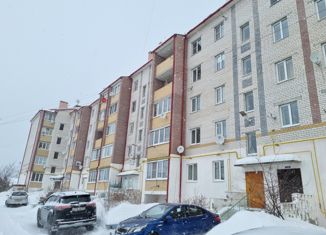 Продается двухкомнатная квартира, 50 м2, Нижегородская область, улица Мира, 9А