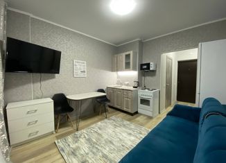 Продается квартира студия, 24 м2, Краснодар, Сахалинская улица, 15к2, Сахалинская улица