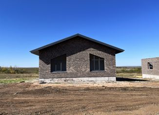Продается дом, 81 м2, село Приютово, Заводстроевская улица