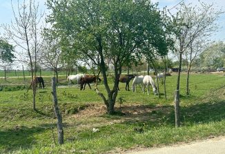 Продается земельный участок, 27 сот., аул Хаштук