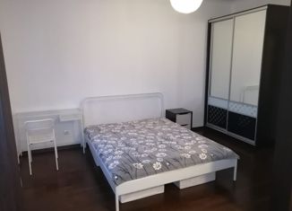 Сдается 1-ком. квартира, 45 м2, Санкт-Петербург, проспект Медиков, 10к4, муниципальный округ Аптекарский Остров