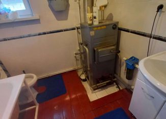 Продаю дом, 114 м2, деревня Нолинка, Центральная улица, 30