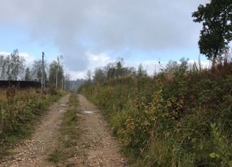 Участок на продажу, 16 сот., Пересвет, 2-я Лесная улица