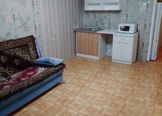 Аренда комнаты, 25 м2, Пермский край, Советская улица, 1