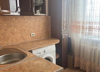 1-комнатная квартира на продажу, 28.8 м2, село Камень-Рыболов, Трактовая улица, 6