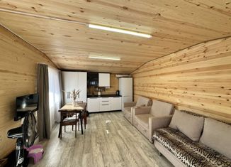 Продаю дом, 33.7 м2, СНТ Радуга, СНТ Радуга, 740