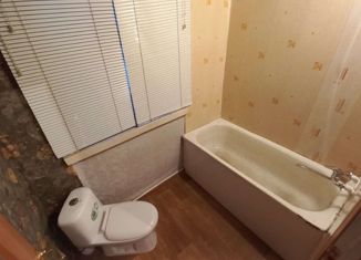 Дом на продажу, 36.6 м2, село Сотниково, Зелёная улица, 46