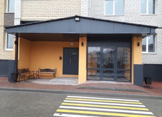 Продается однокомнатная квартира, 39 м2, деревня Крутые Выселки, Мичуринская улица, 234