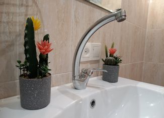 Продажа 1-комнатной квартиры, 32 м2, поселок Верхнетемерницкий, Лунный переулок, 1к1, ЖК Спутник