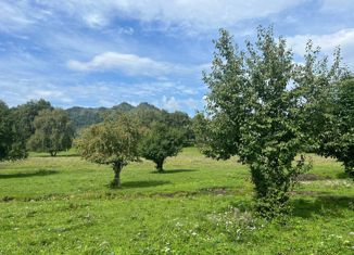 Продается участок, 25.5 сот., село Аюла, Центральная улица, 35