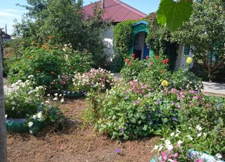 Продаю дом, 58.6 м2, поселок городского типа Благовещенка, улица Свердлова, 7