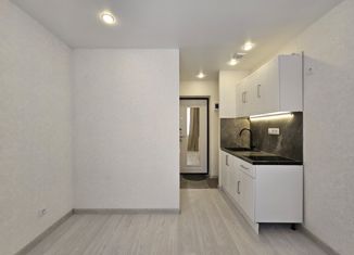 Квартира на продажу студия, 12 м2, Пермь, Новосибирская улица, 17, Свердловский район