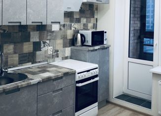 Однокомнатная квартира на продажу, 30 м2, Санкт-Петербург, Русановская улица, 18к1, муниципальный округ Народный