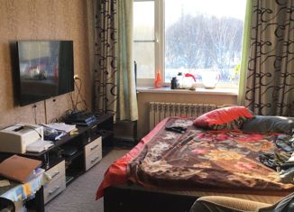 Продажа однокомнатной квартиры, 30.4 м2, Елизово, улица Виталия Кручины, 28