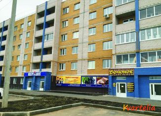 Продажа 2-ком. квартиры, 52 м2, деревня Хохряки, Тепличная улица, 33
