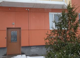 1-комнатная квартира на продажу, 41 м2, Ленинградская область, Школьная улица, 4к1