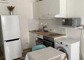 Продам квартиру студию, 28 м2, Мурино, Петровский бульвар, 7, ЖК Ласточка